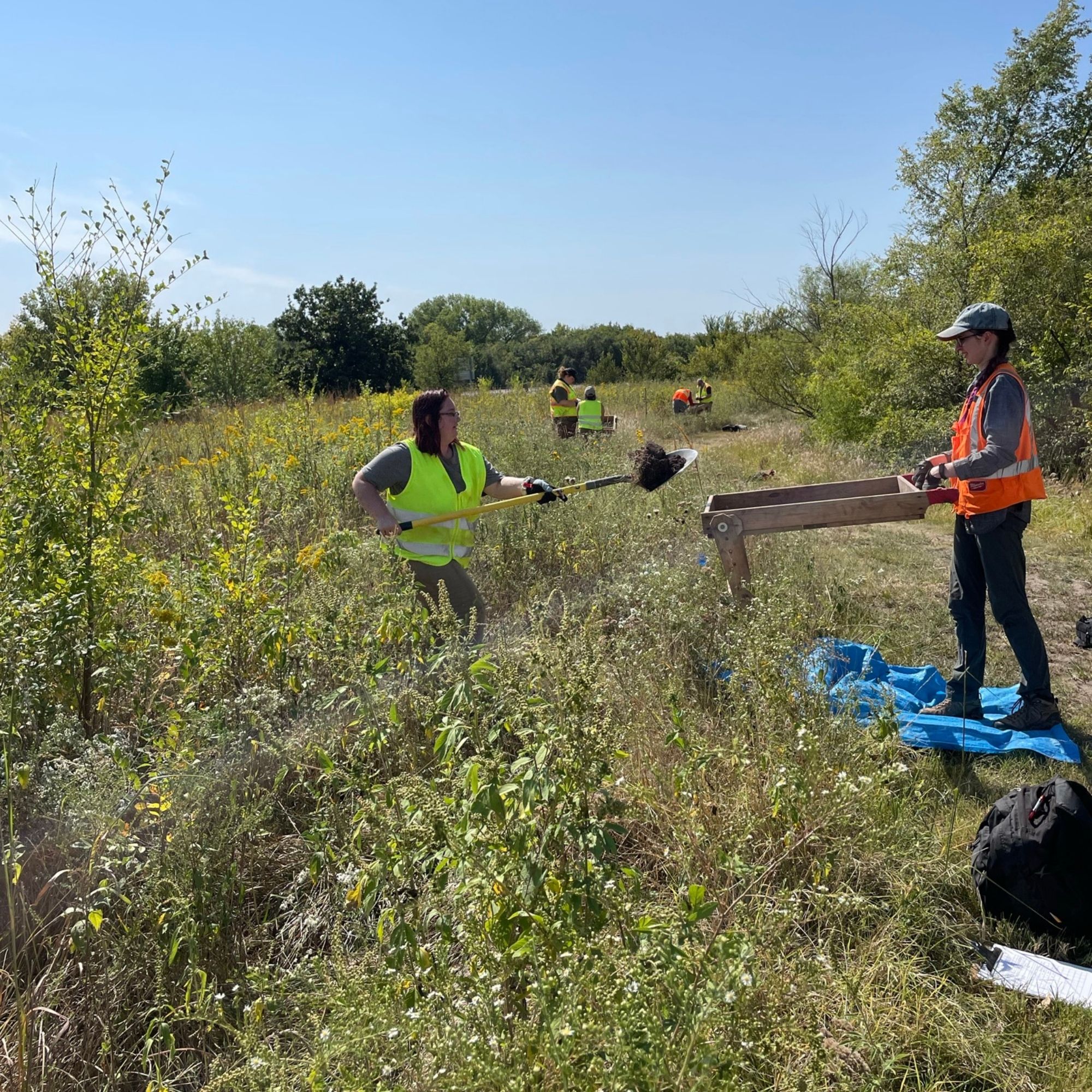 Students process shovel test in a field