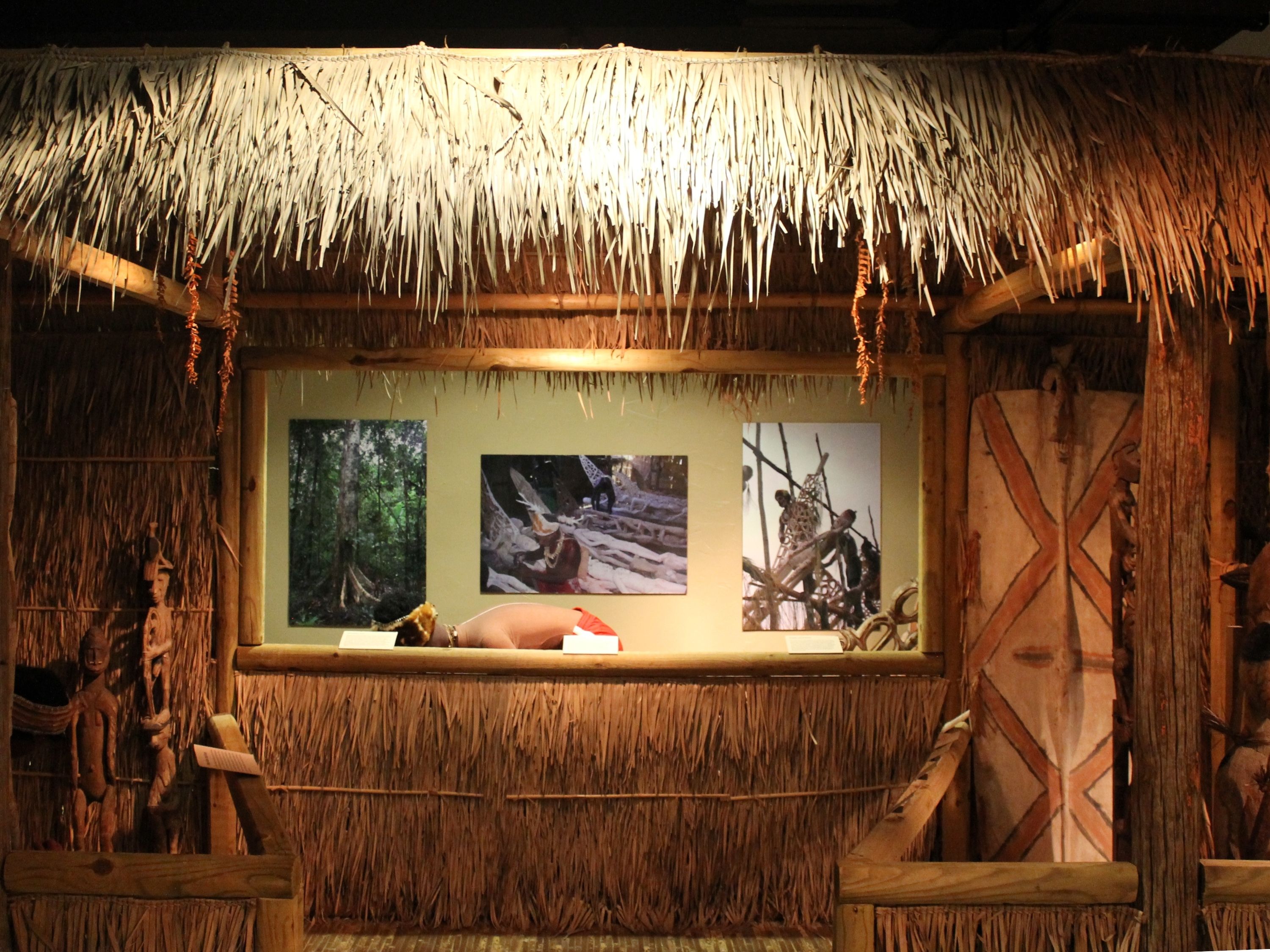 Hatched hut with an open display that shows a mannequin of an adult man in red shorts working on wooden bis poles. Behind him are the images of Asmat people working on creating a bis pole. To the side of the scene are an assortment of carved artifacts.