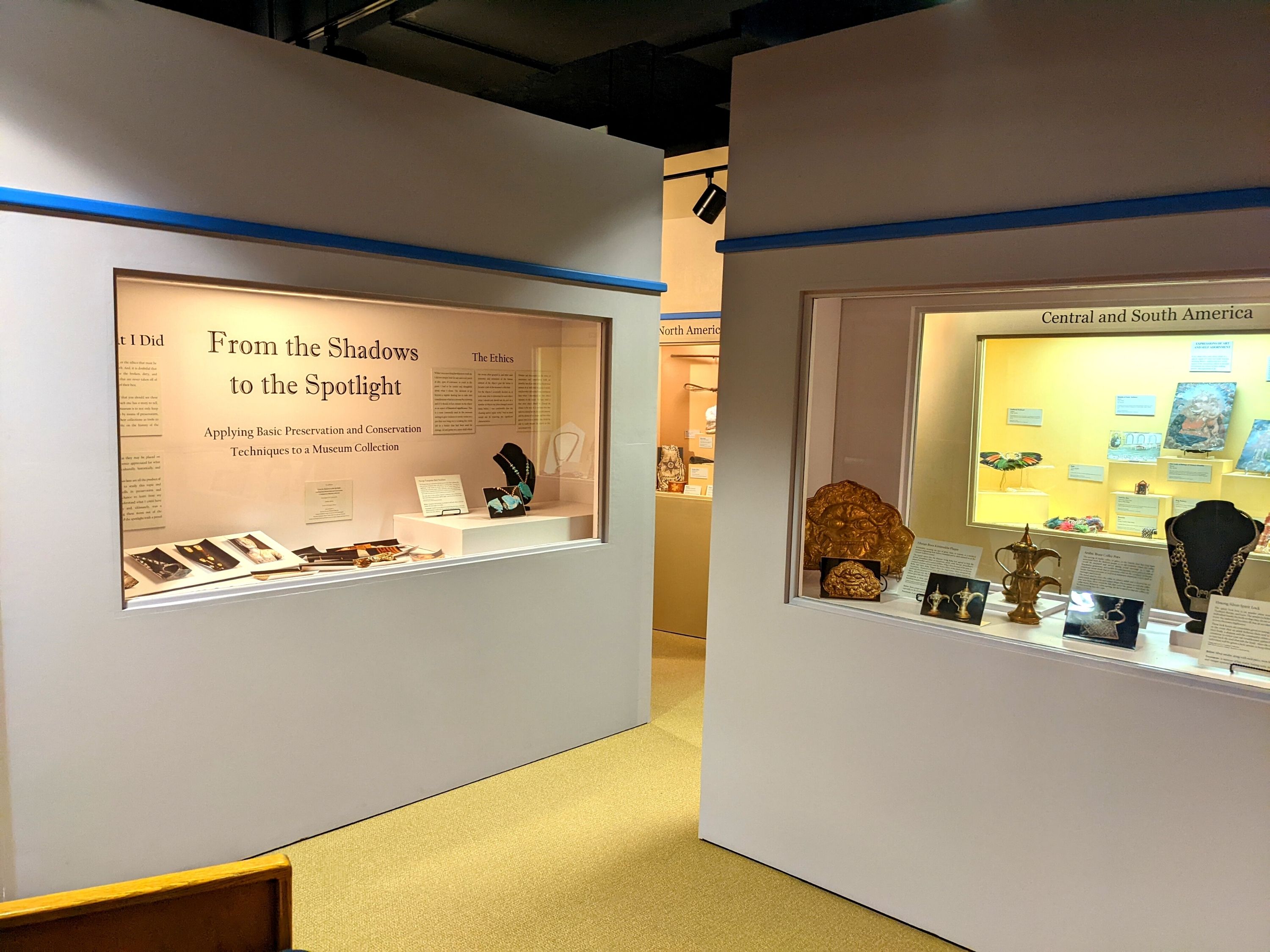 Two cases with objects on display. The left case has the title "From the Shadows to the Spotlight" on it.