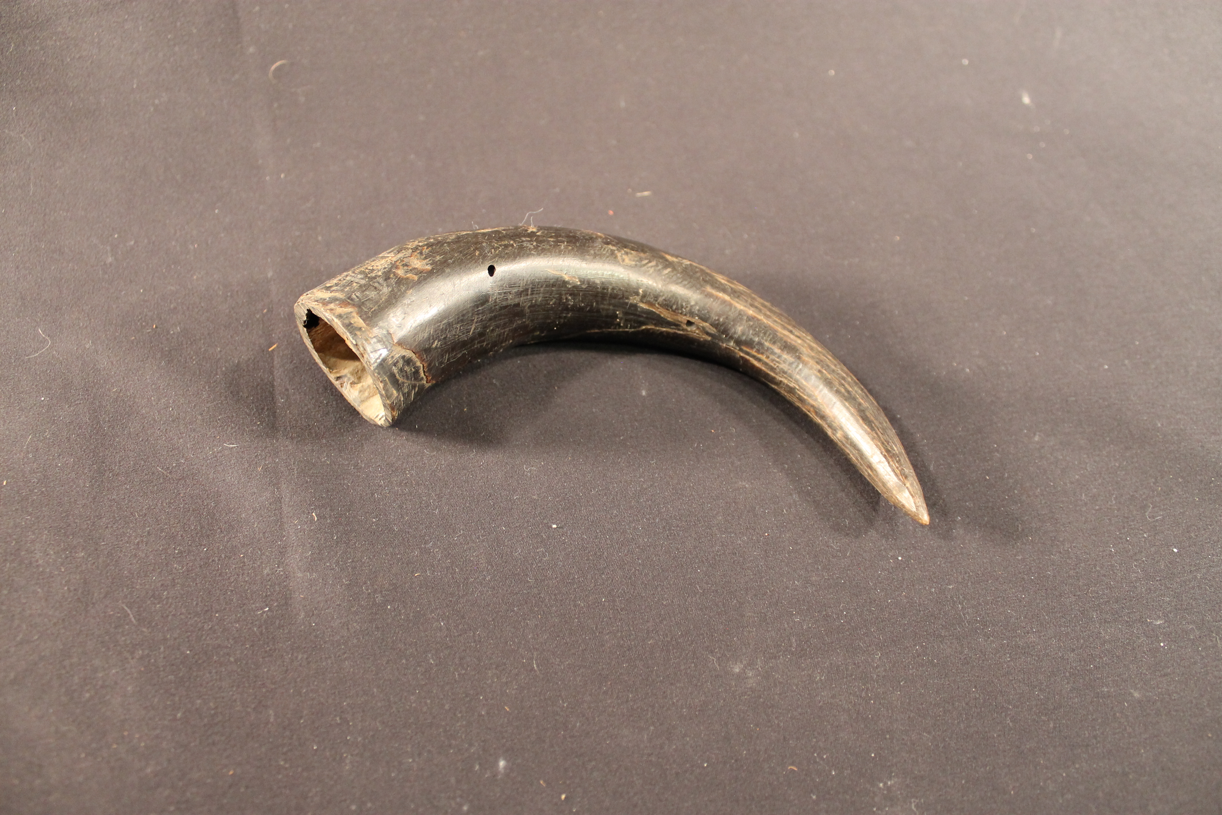 A hollowed black cow horn.