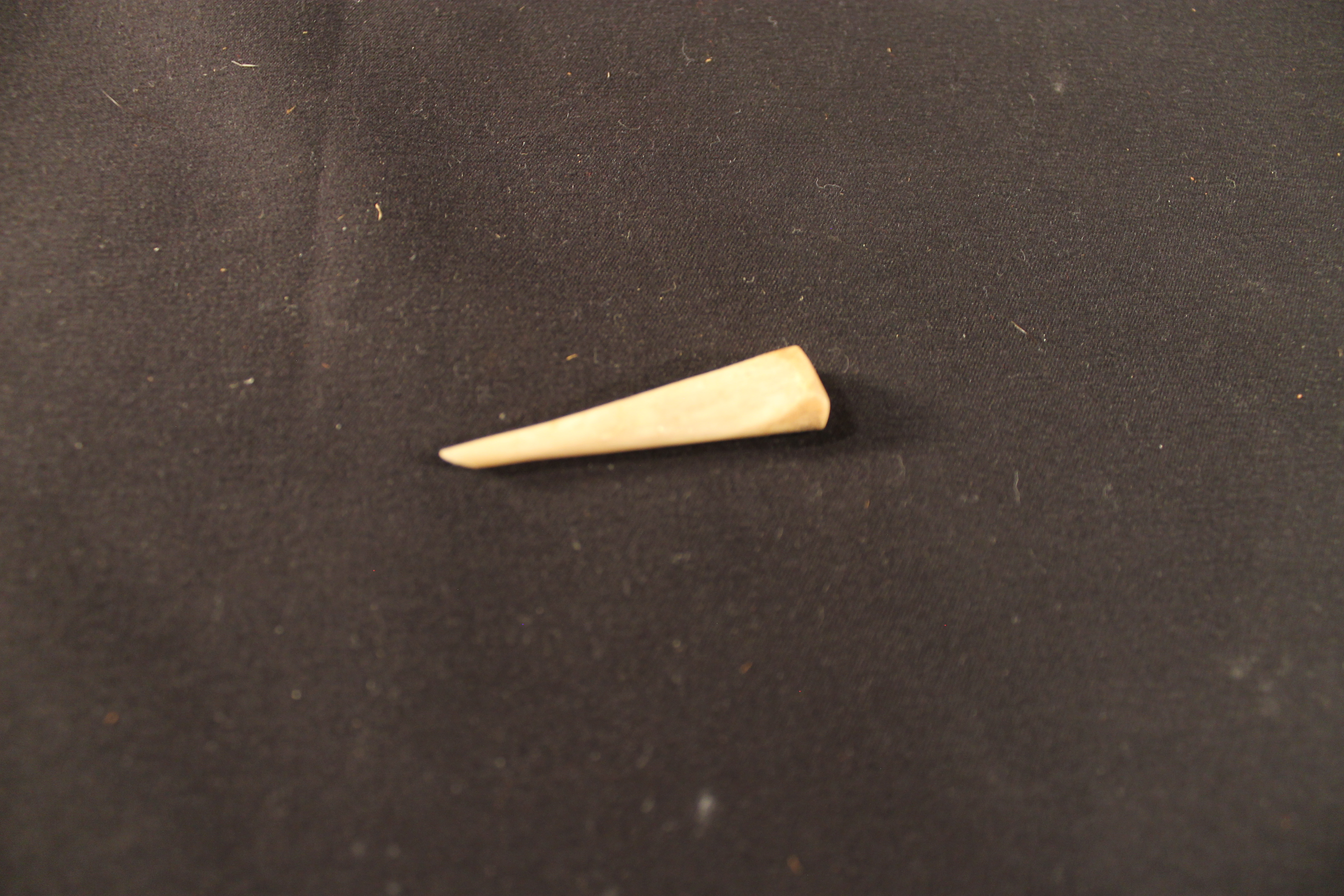 Bone shaped to a point on the end.