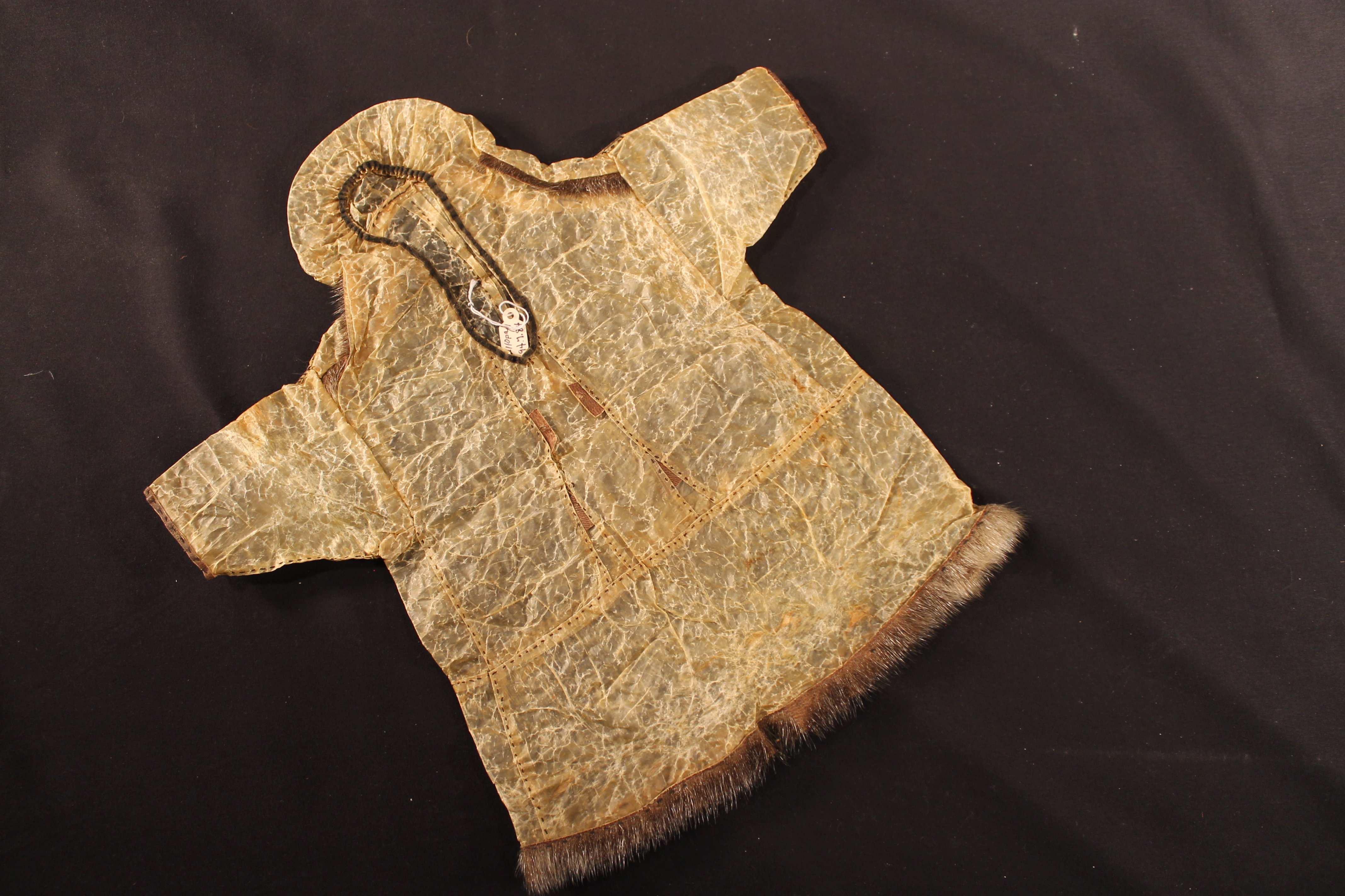 Translucent parka that has been sewn with black thread. Brown leather and white trim encircle the hood and sleeve cuffs. White skin trim at the bottom and at the shoulders.