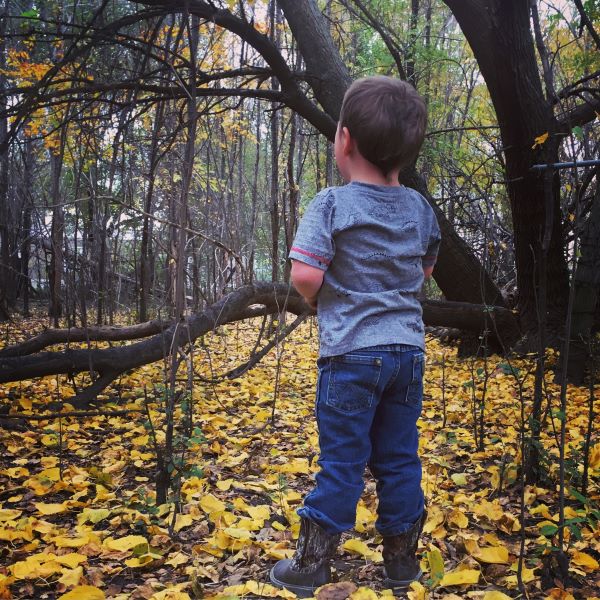 Boy standing in wooded area with yellow leaves surrounding him.