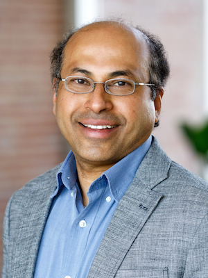 Dr. Anil Mahapatro Ph.D.