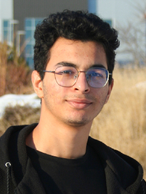 Mohamed Kamil Mokaddem