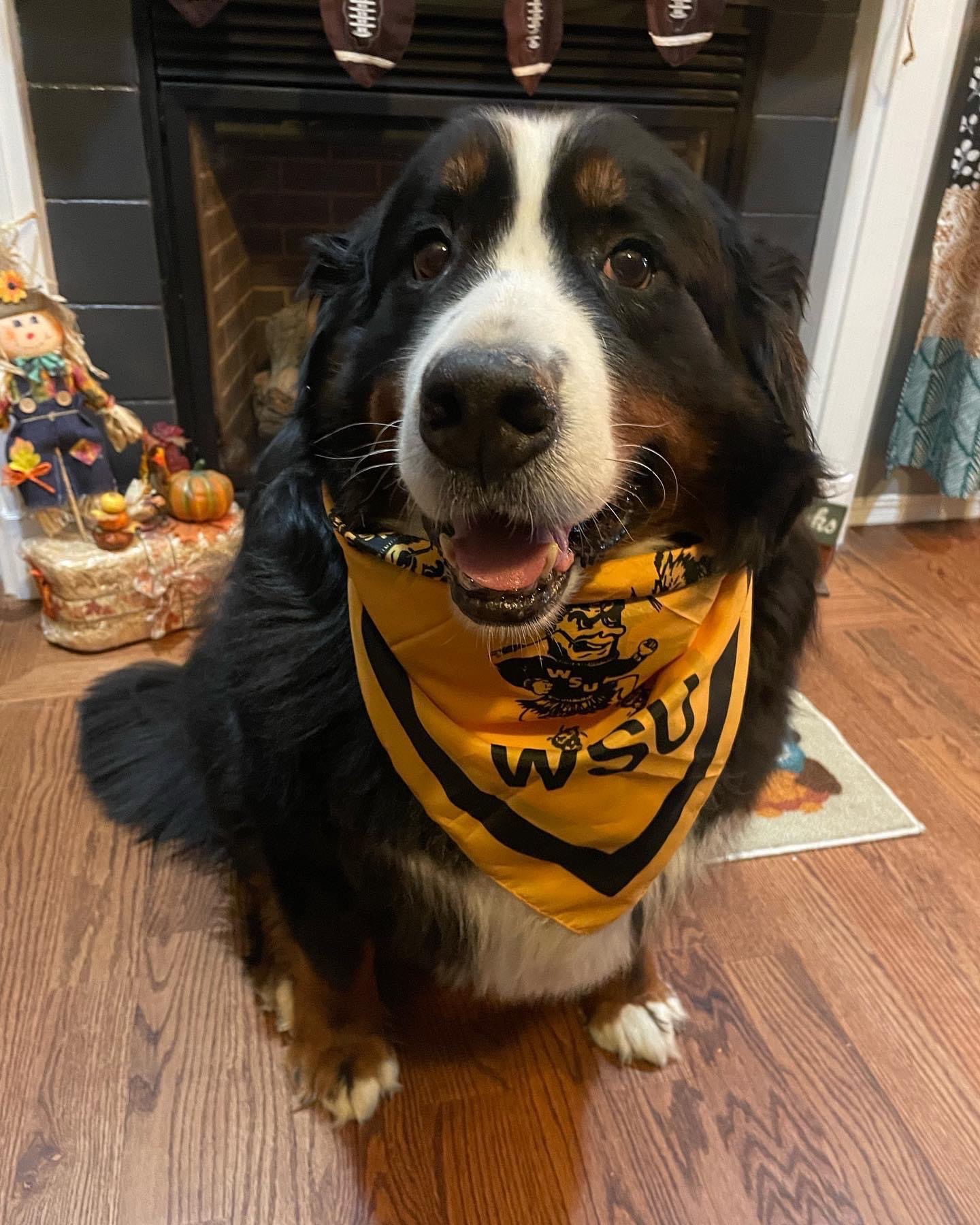 Sam (Emeritus)