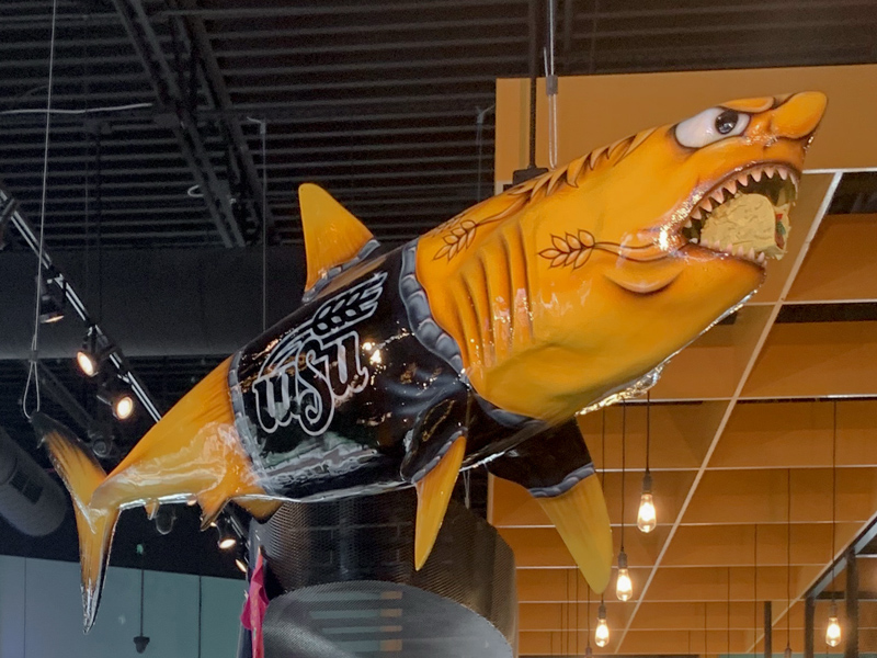 metal shark