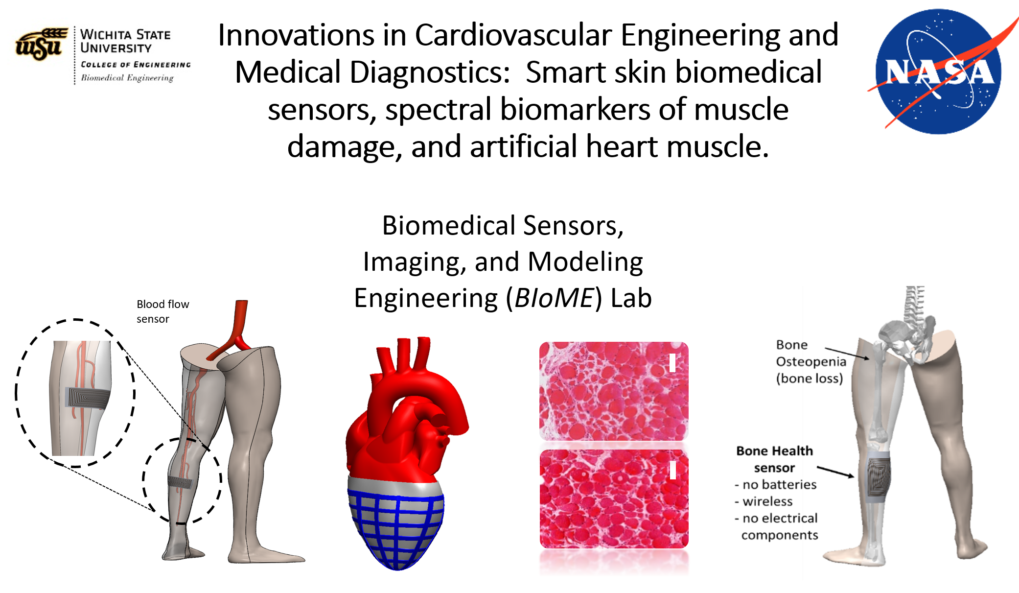 Cardiovascular Engineering