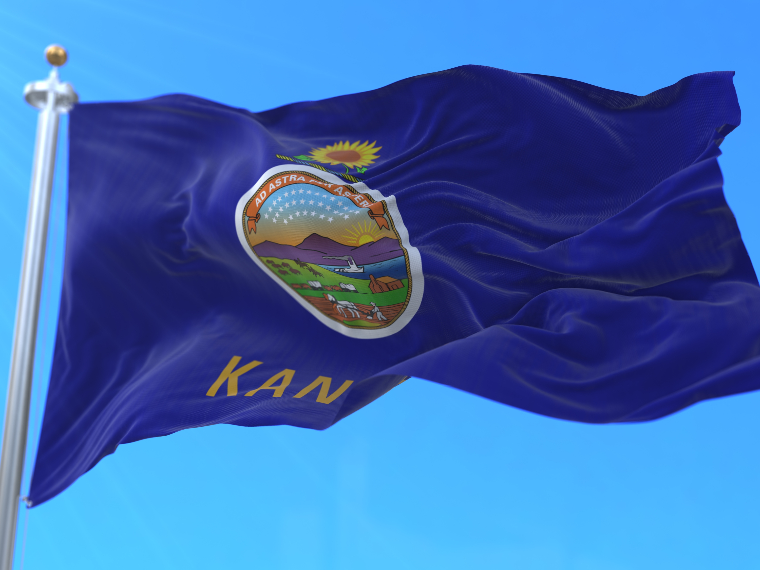 Kansas Flag