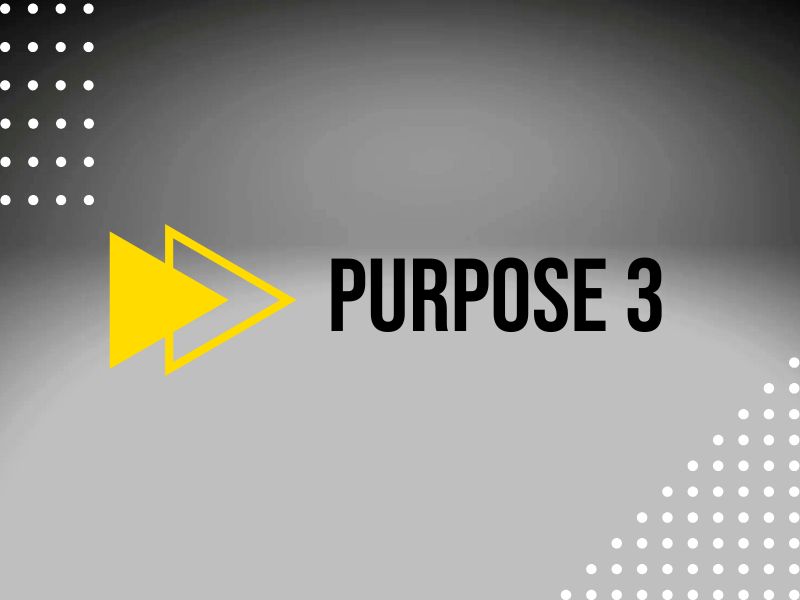Purpose 3