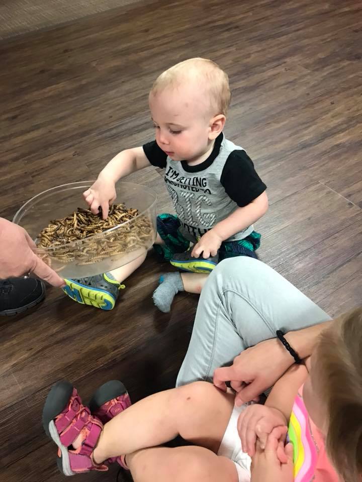 Student interacts with classroom pet.