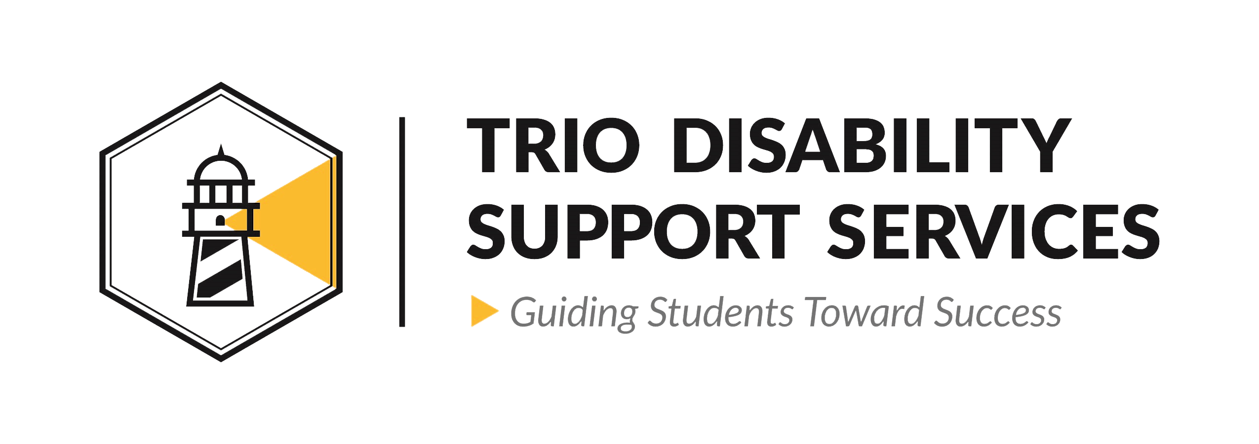 Disability Support Services