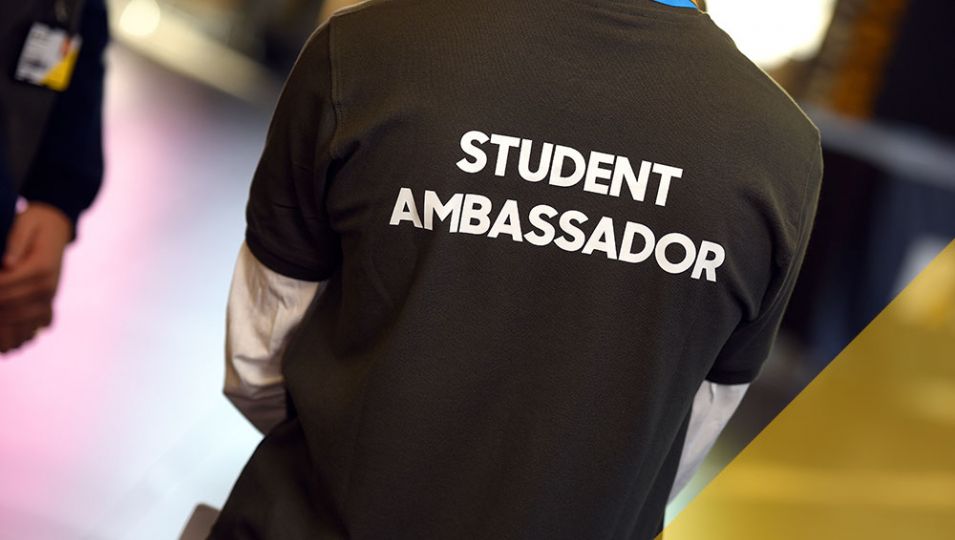Ambassador
