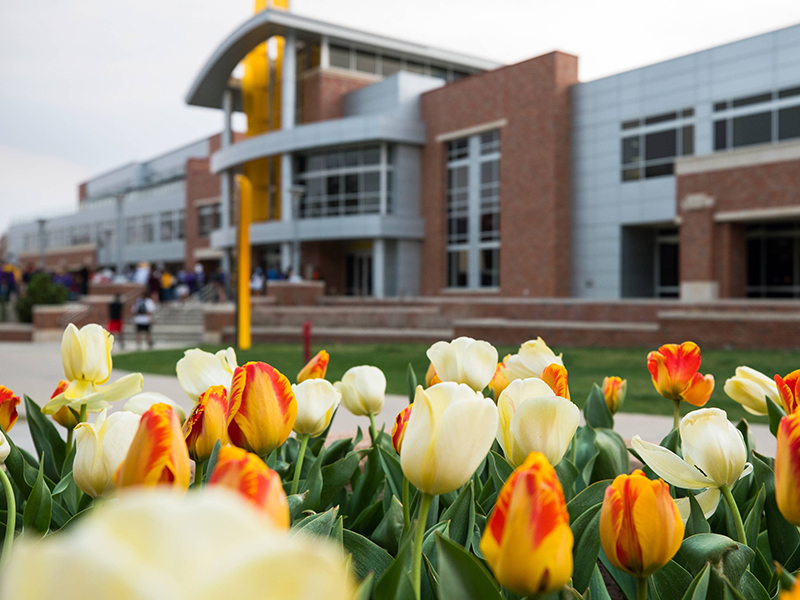 Tulips bloom in front of the RSC