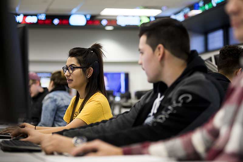 Students studying in a computer lab