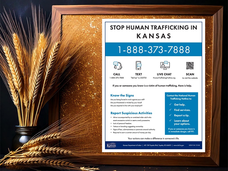 KS Human Trafficking