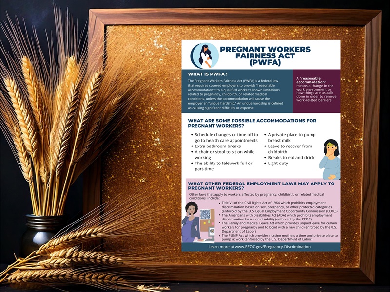 Pregnant Workers Fairness Act
