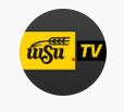 WSUTV logo