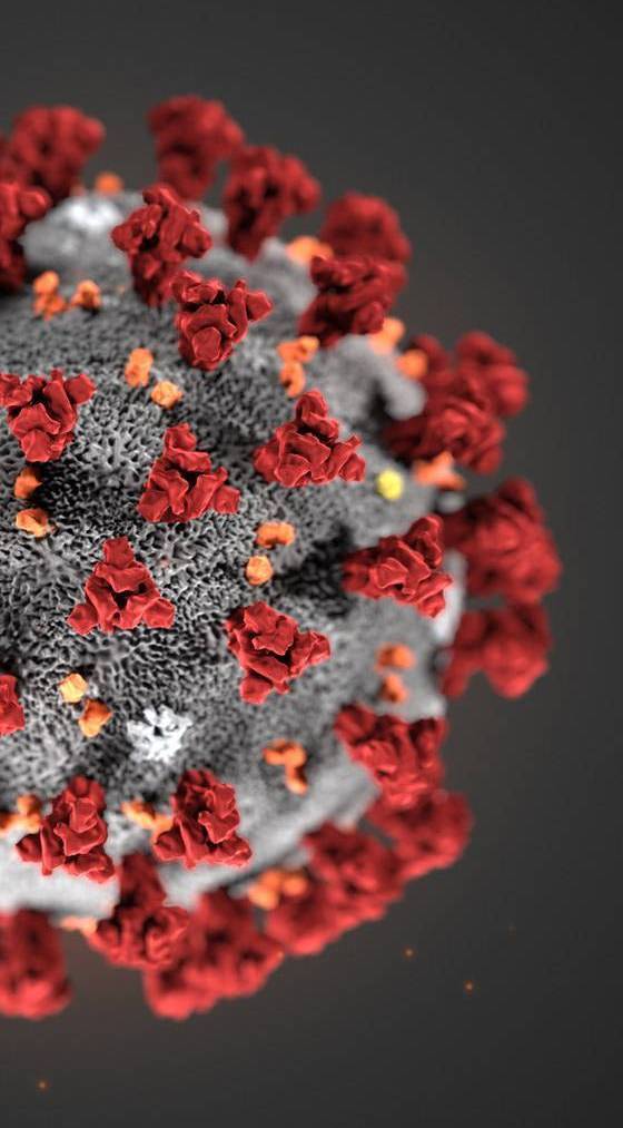 microscopic image of SARS-CoV2
