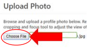 Upload an image by clicking the “Choose File” button