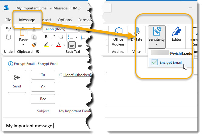 Message tab, encryption