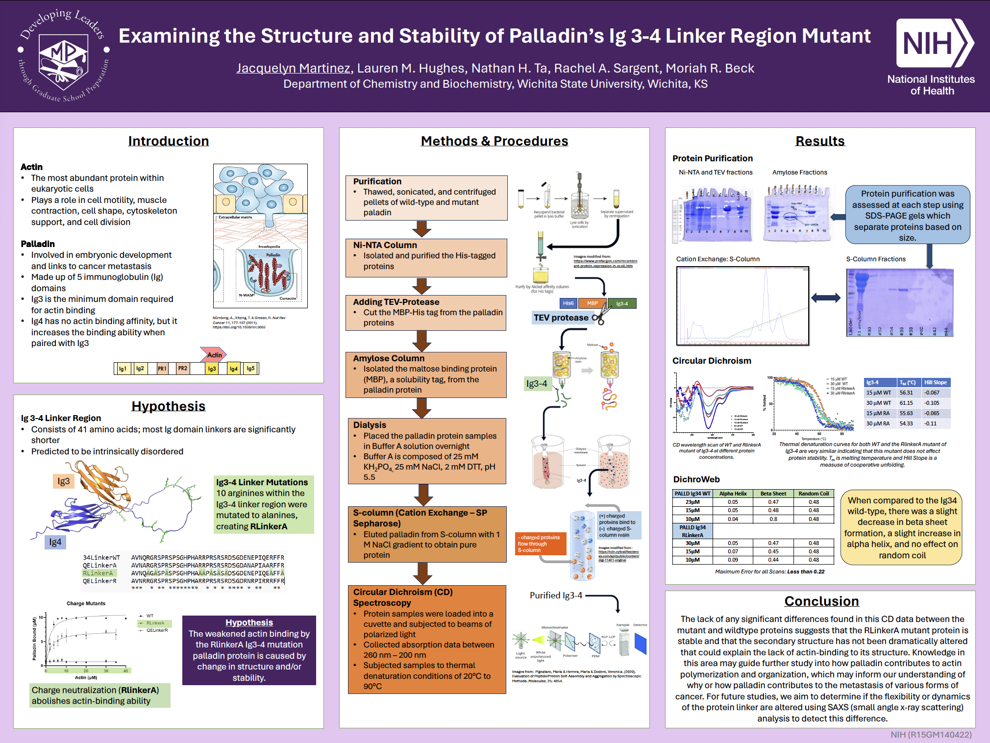 Undergraduate Research Poster 3