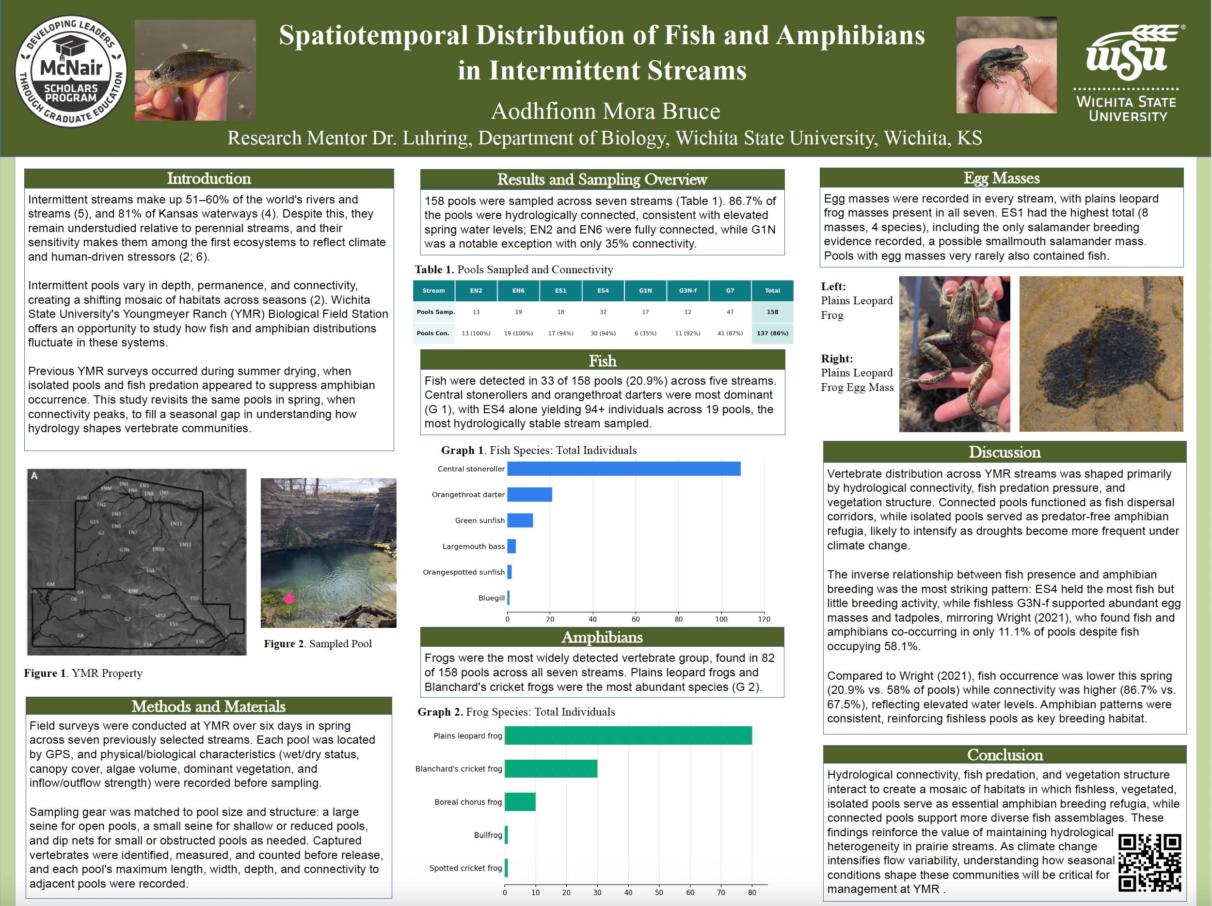 Poster number one, Spatiotemporal Distribution of Fish and Amphibians in Intermittent Streams by Aodhfionn Mora Bruce