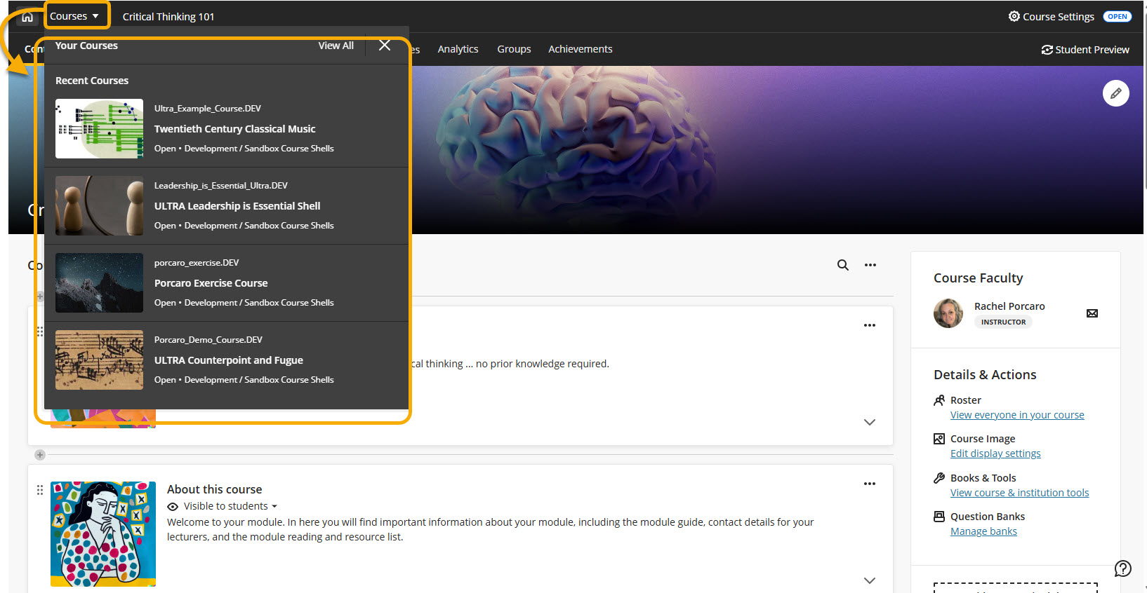 screenshot of Blackboard course with the Course switcher selected and "Your courses" open