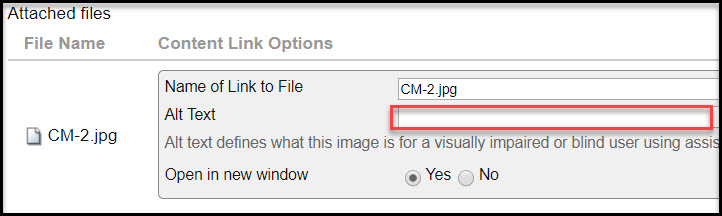 Adding alt text