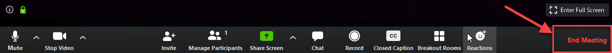 Zoom ribbon with "End Meeting" button highlighted