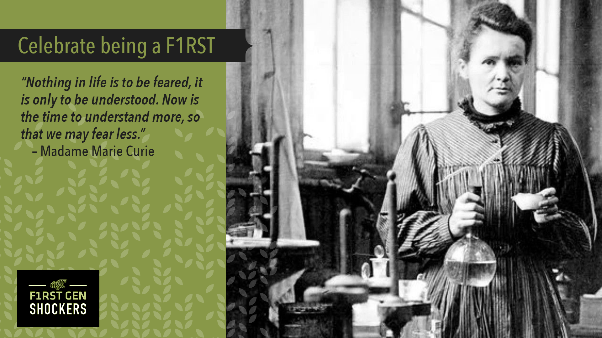 Madame Curie Quote