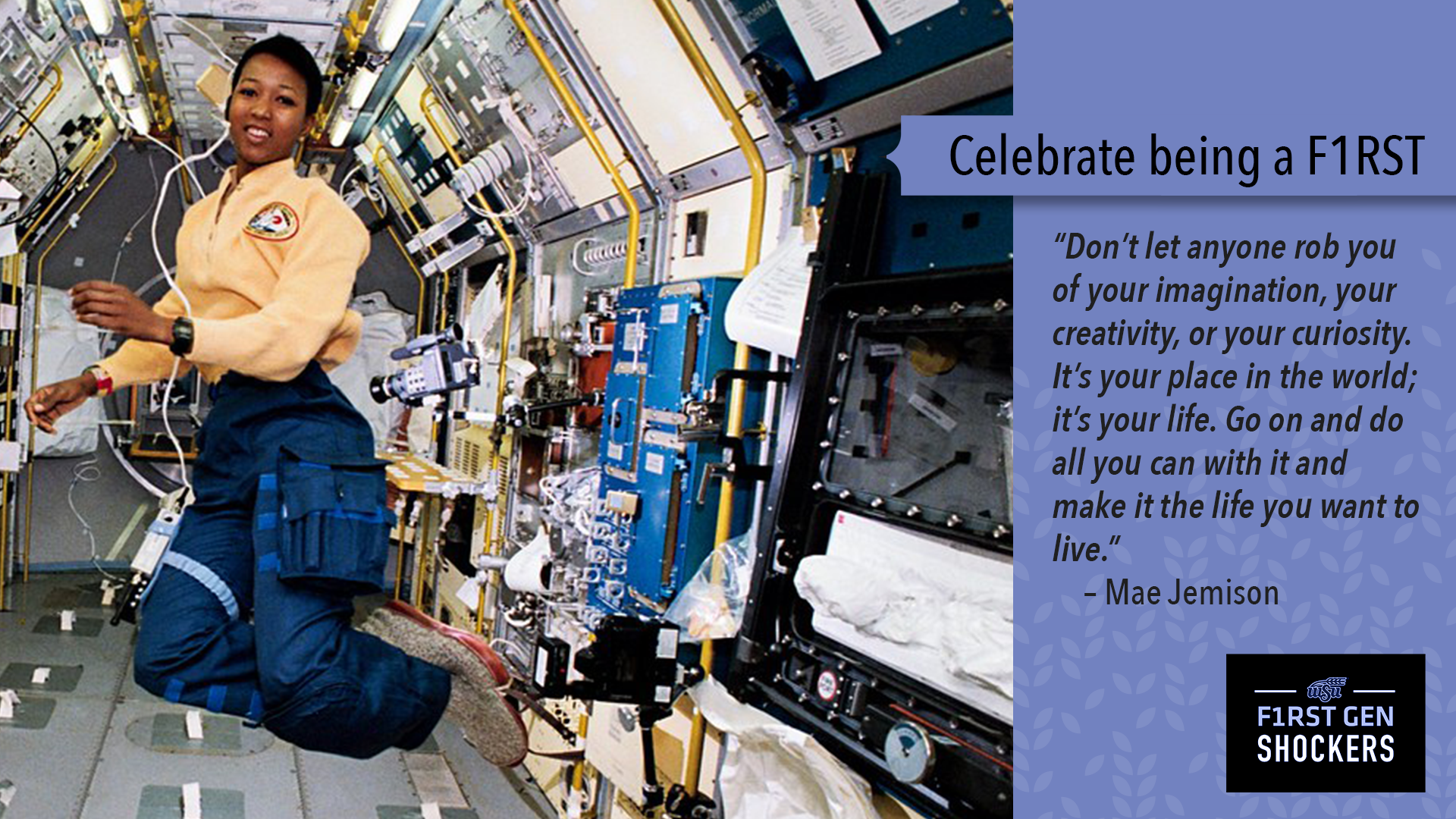 Mae Jemison Quote