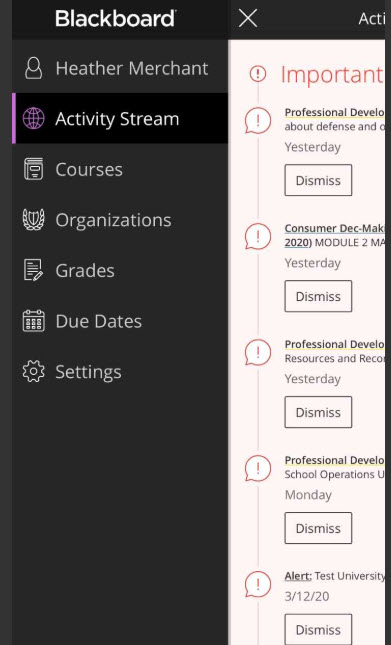 Bb courses on the app