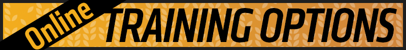 Online Training