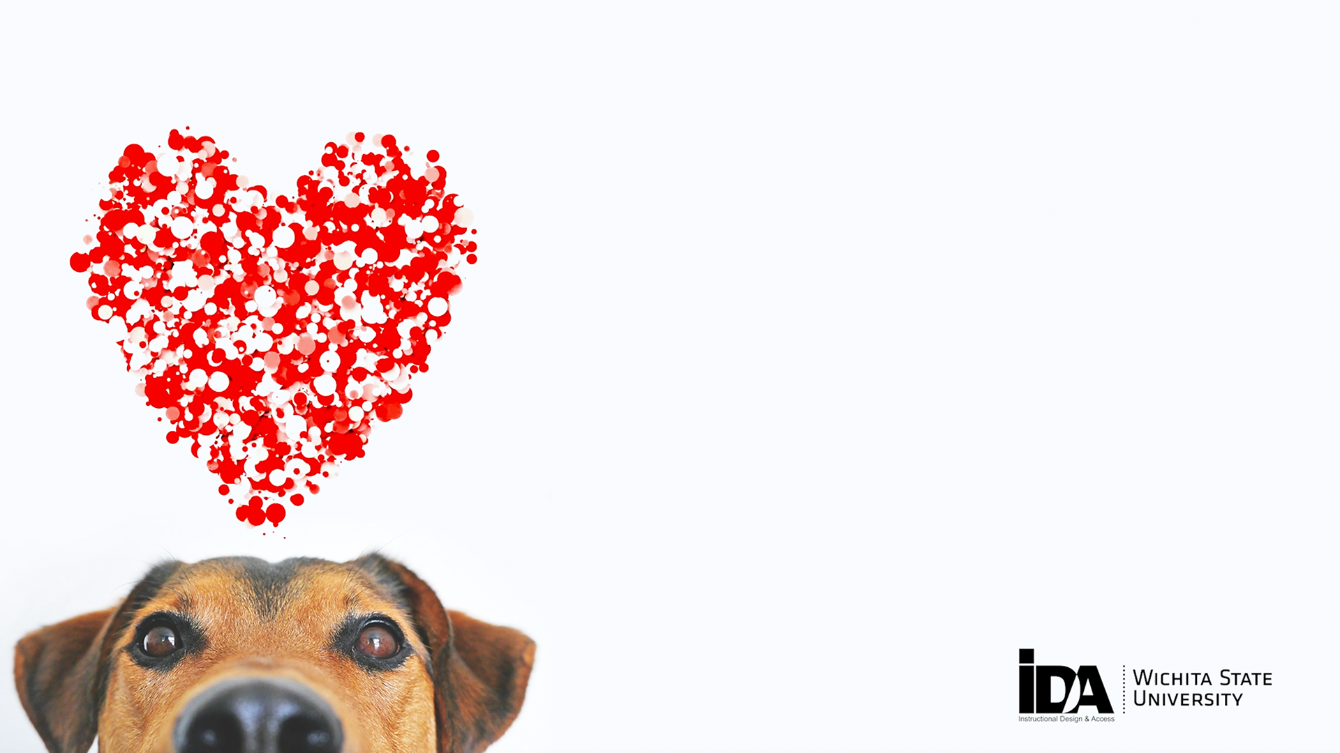 Dog love