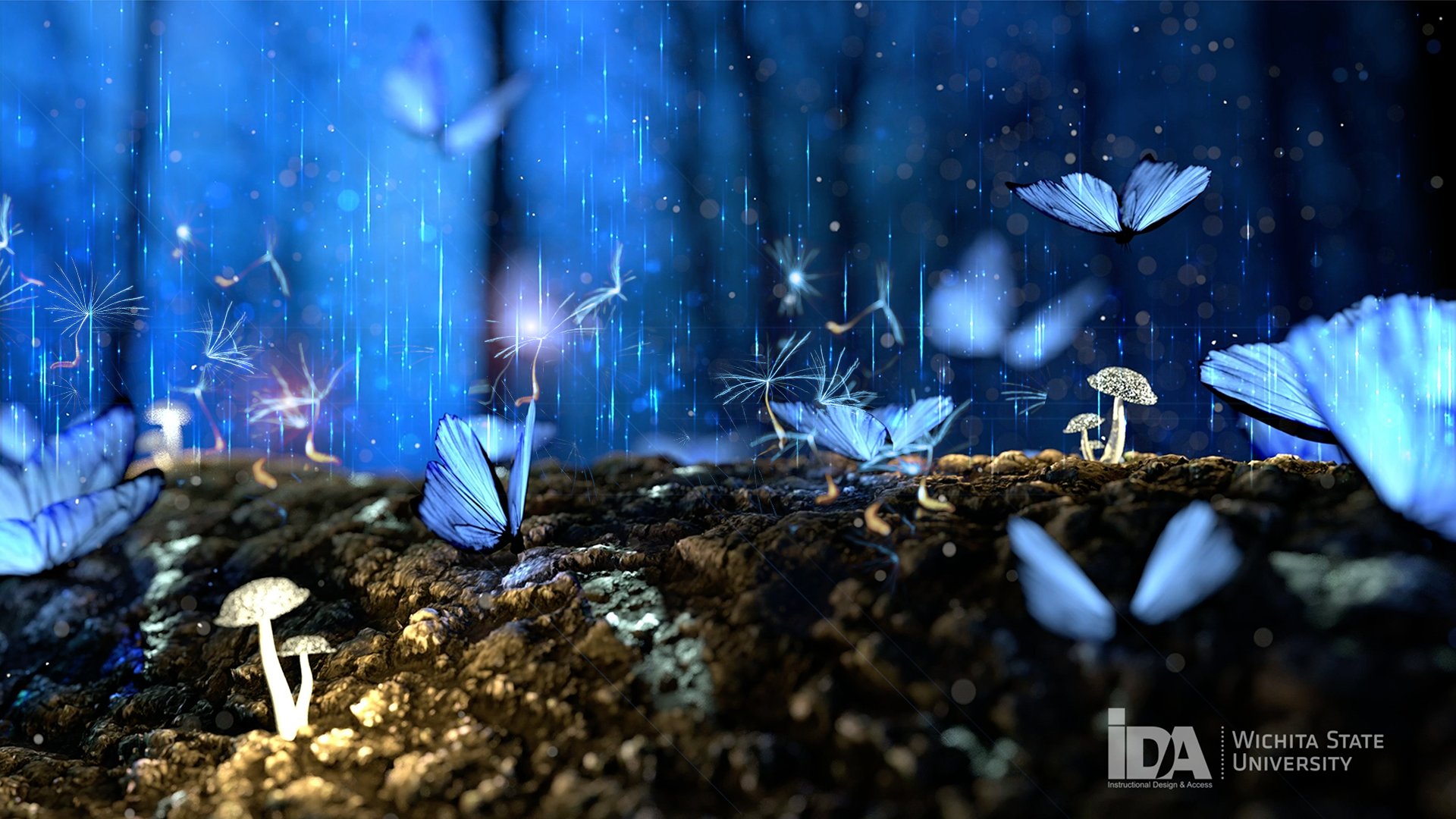 Fairy Stone