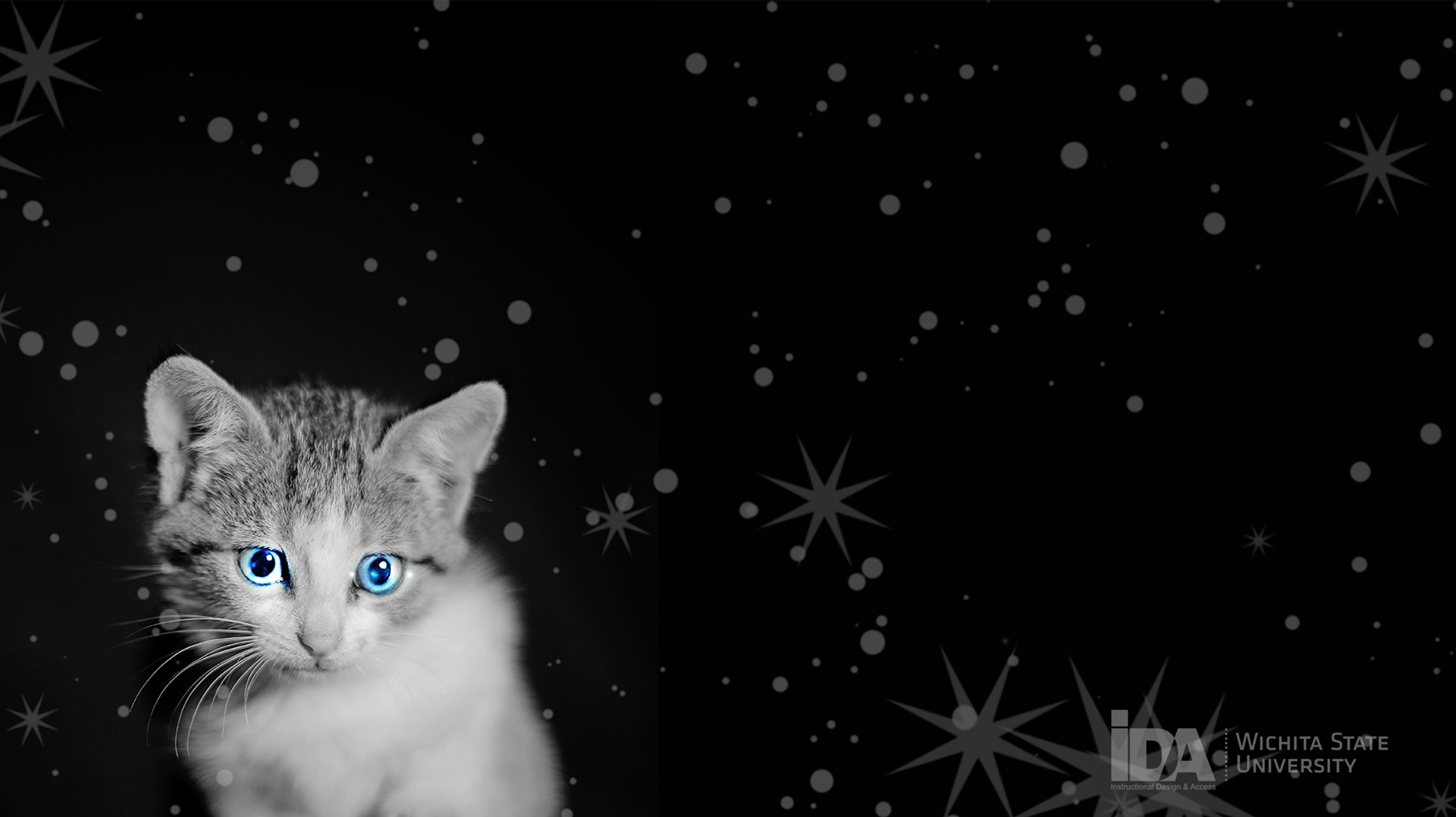 Glitter Kitty