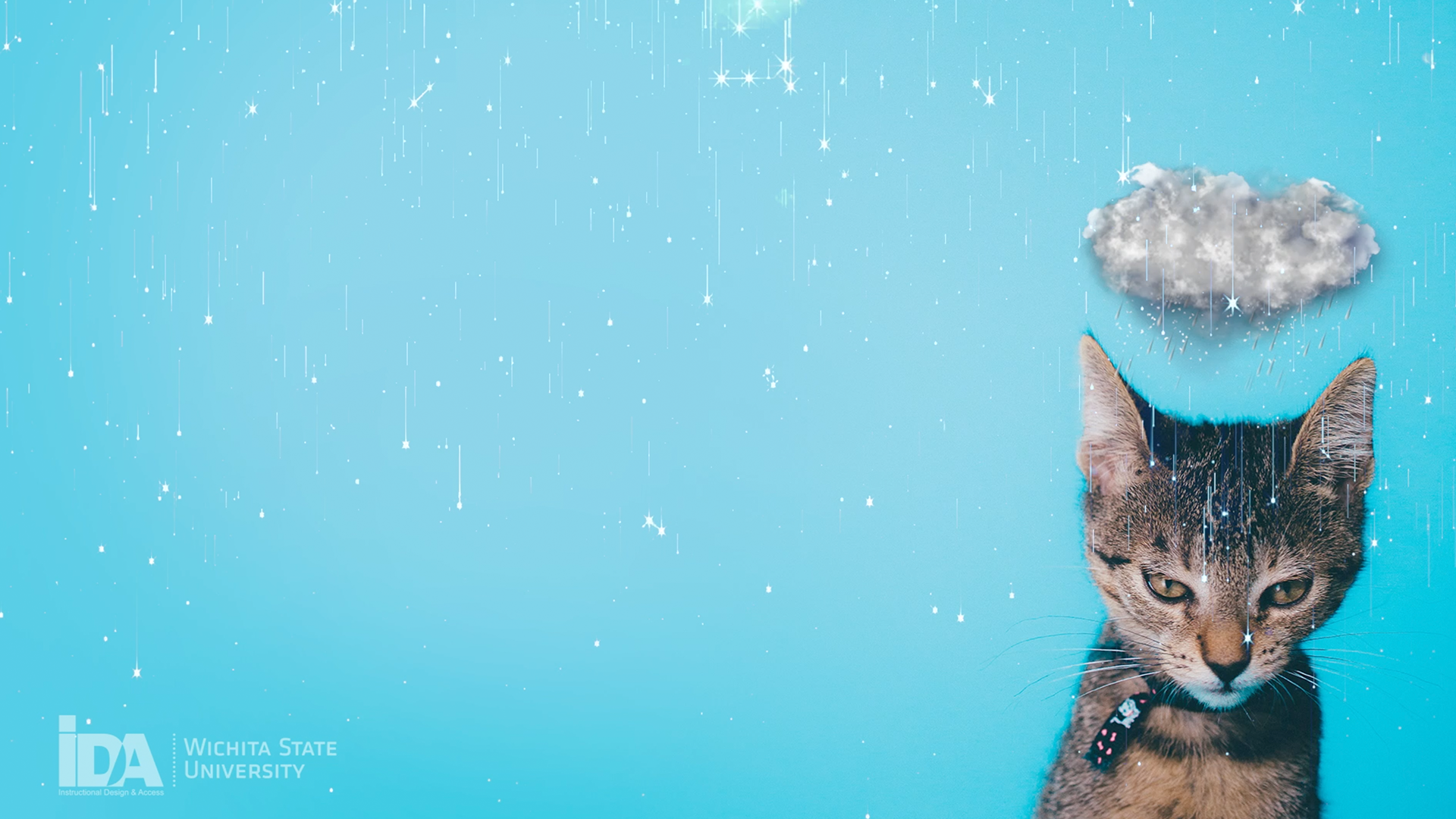 Rainy Day Kitty