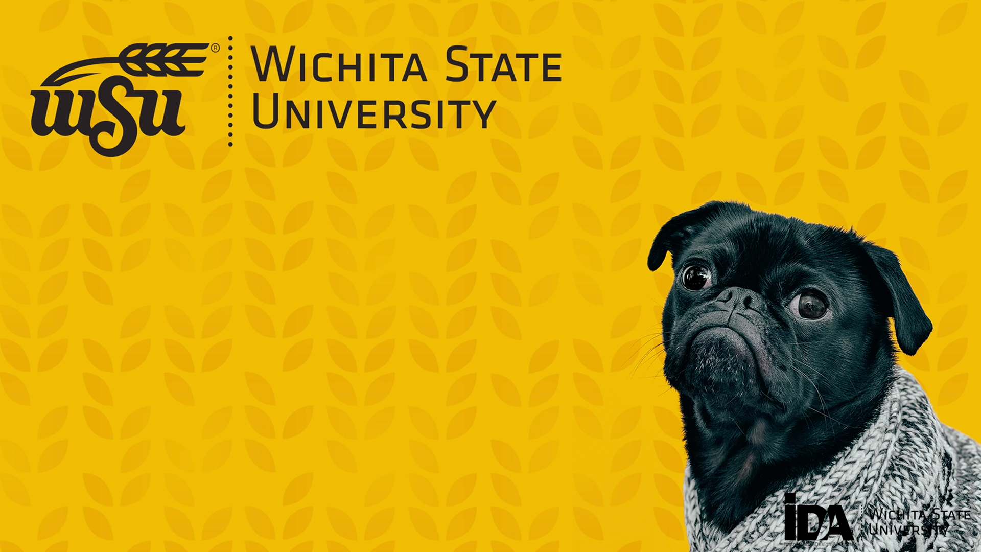 WSU Pup