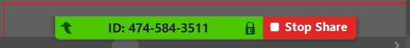 Zoom window with "End Share" button highlighted