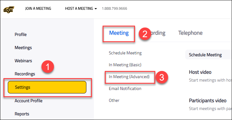 Settings under meeting tab