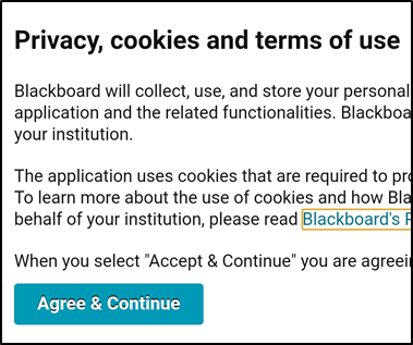 accept cookies and privacy window for panopto