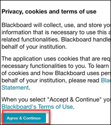 agree to terms and privacy panopto window