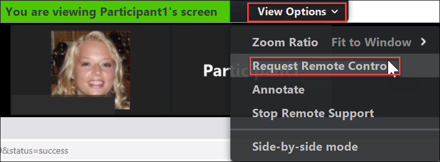 view options button and request remote access selections in zoom