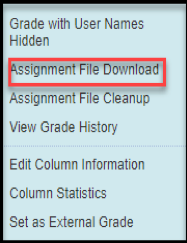 Assignment File Download example. 