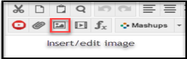 Insert/edit image example. 