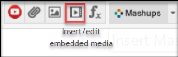 Insert/edit embedded media example.