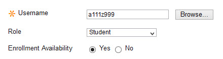 User info added to the Username area when enrolling a user in Bb course