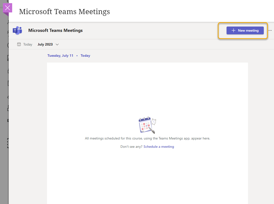 Screenshot of Teams Meeting interface