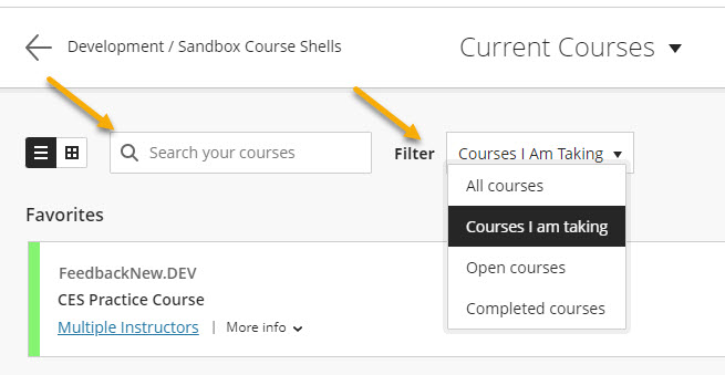 screenshot of search bar and filter choices in the courses tab